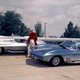Illustration for article titled The Hopefully True Story About The 1963 Corvette And A Headless Shark
